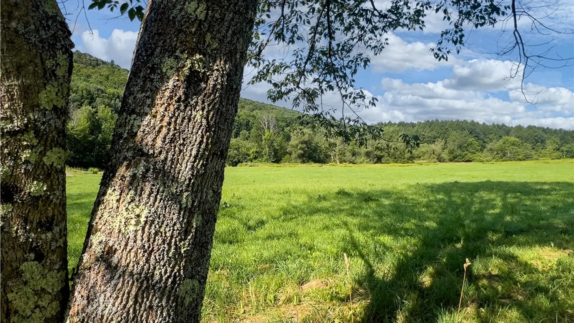 Property at Lot #11 Franklin Depot Road, Sidney, NY 13838 7
