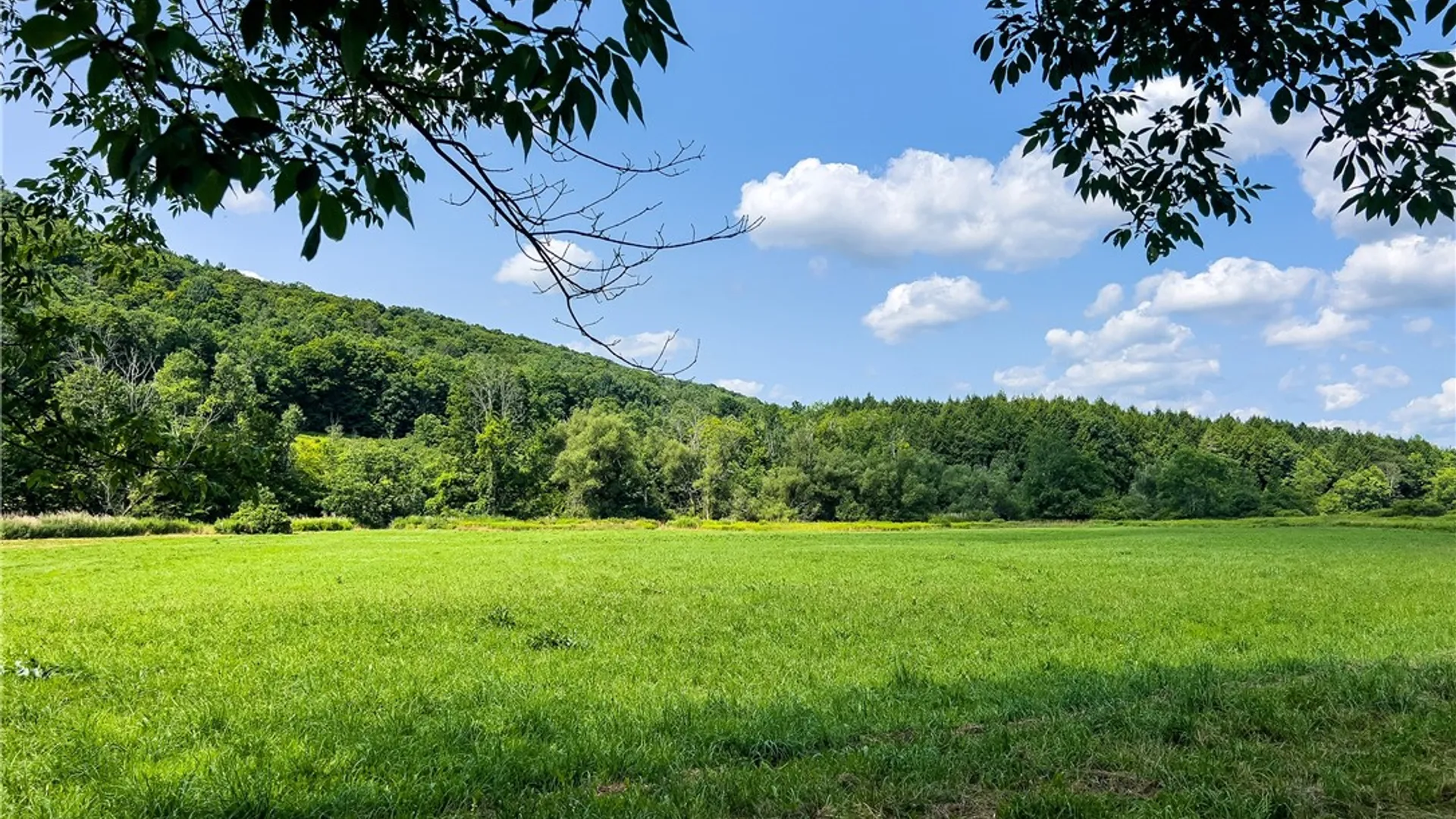 Property at Lot #11 Franklin Depot Road, Sidney, NY 13838 8