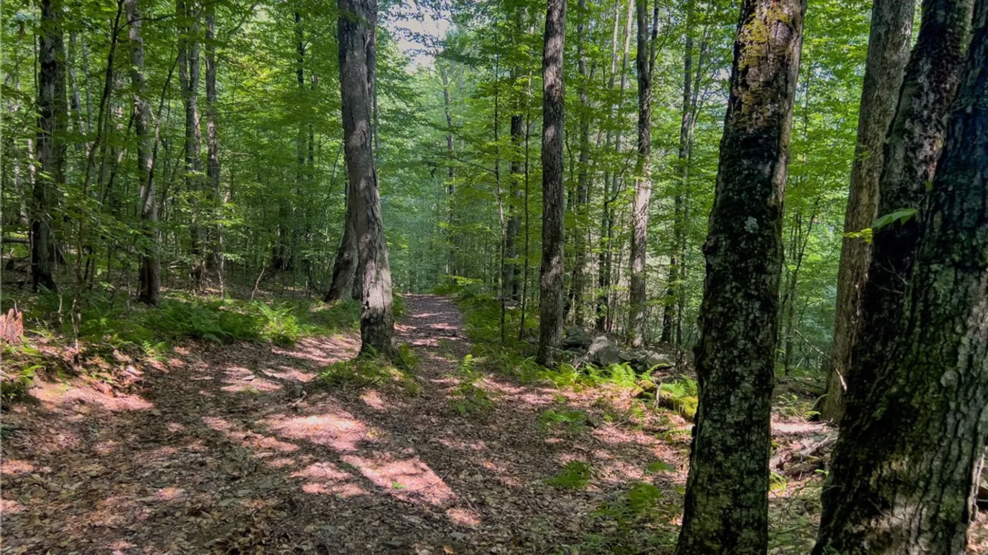 Property at Lot #11 Franklin Depot Road, Sidney, NY 13838 46