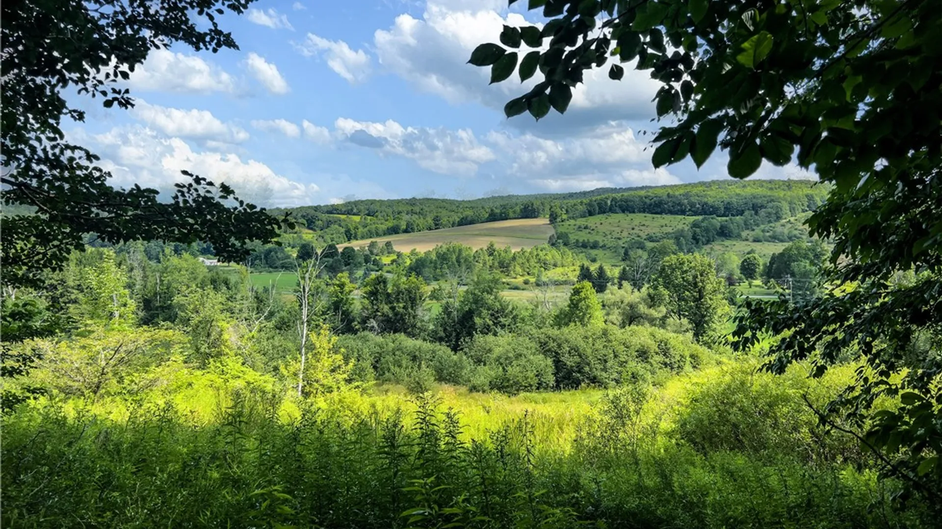Property at Lot #11 Franklin Depot Road, Sidney, NY 13838 48
