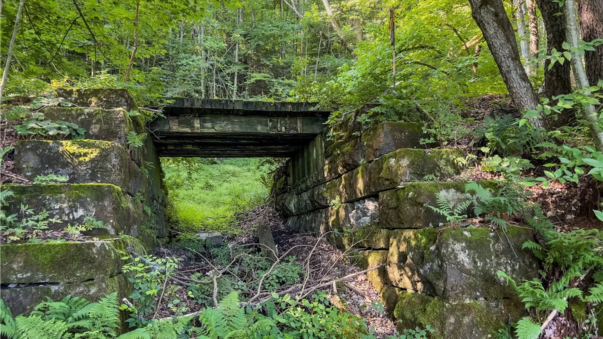 Property at Lot #11 Franklin Depot Road, Sidney, NY 13838 28
