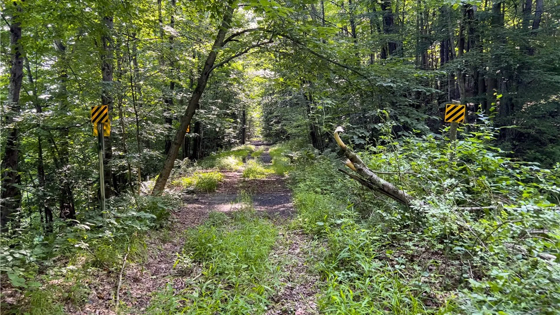 Property at Lot #11 Franklin Depot Road, Sidney, NY 13838 29