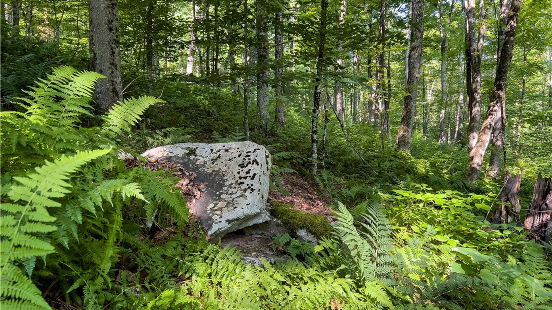 Property at Lot #11 Franklin Depot Road, Sidney, NY 13838 33