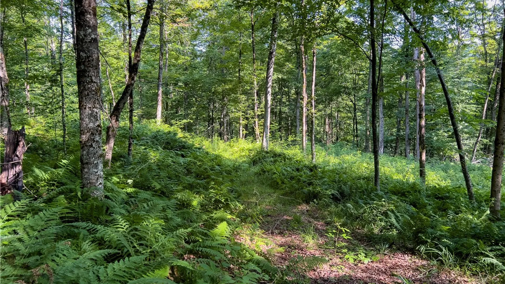 Property at Lot #11 Franklin Depot Road, Sidney, NY 13838 34