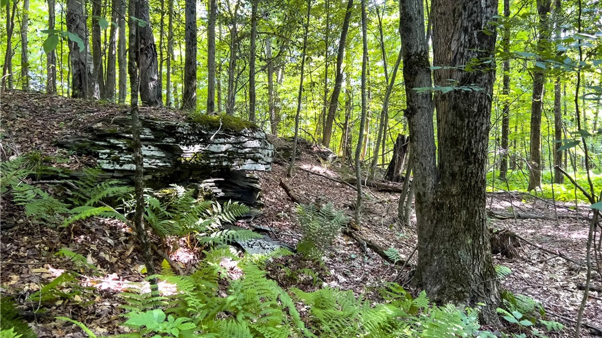 Property at Lot #11 Franklin Depot Road, Sidney, NY 13838 35