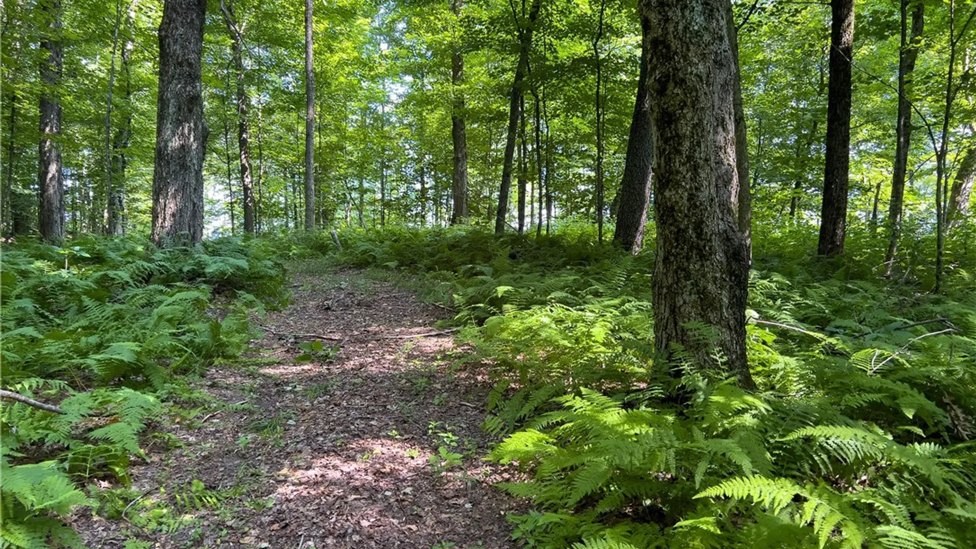 Property at Lot #11 Franklin Depot Road, Sidney, NY 13838 38