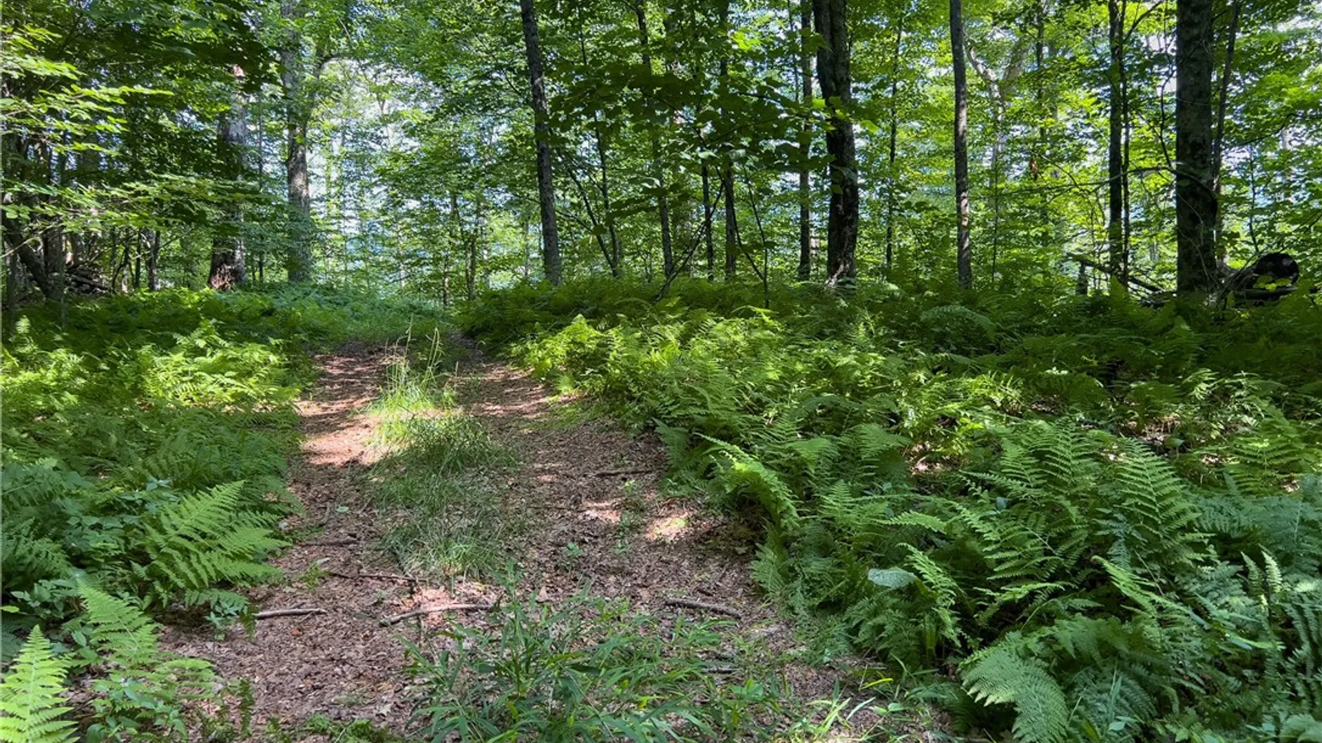 Property at Lot #11 Franklin Depot Road, Sidney, NY 13838 39