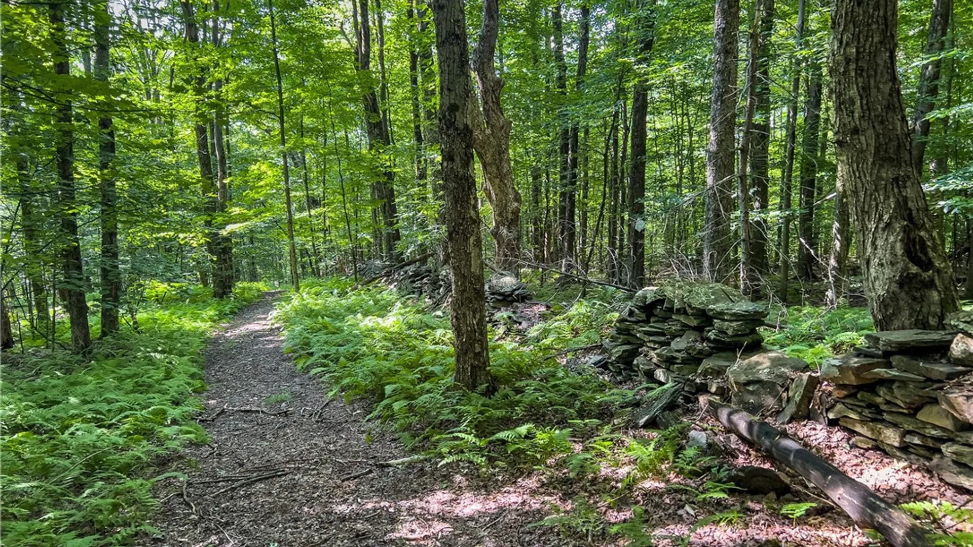 Property at Lot #11 Franklin Depot Road, Sidney, NY 13838 40