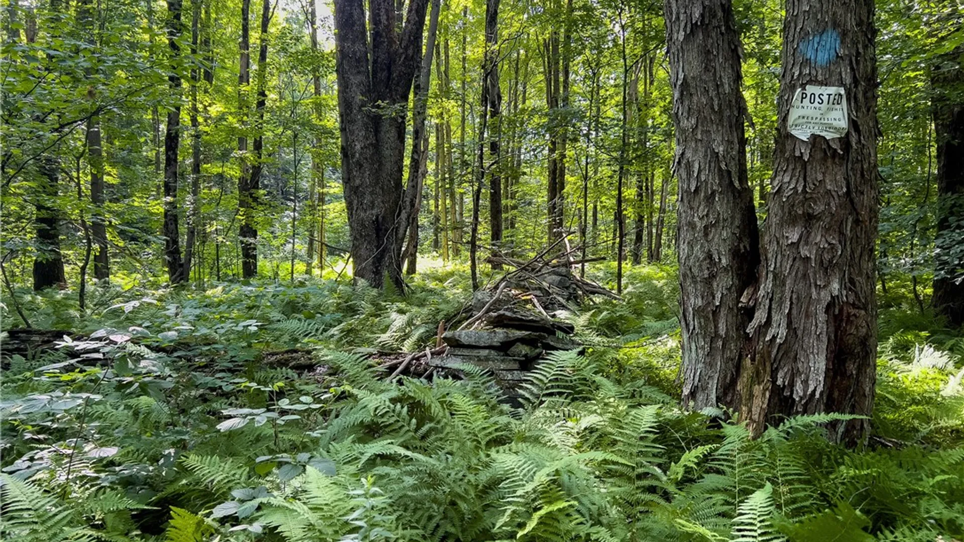 Property at Lot #11 Franklin Depot Road, Sidney, NY 13838 41