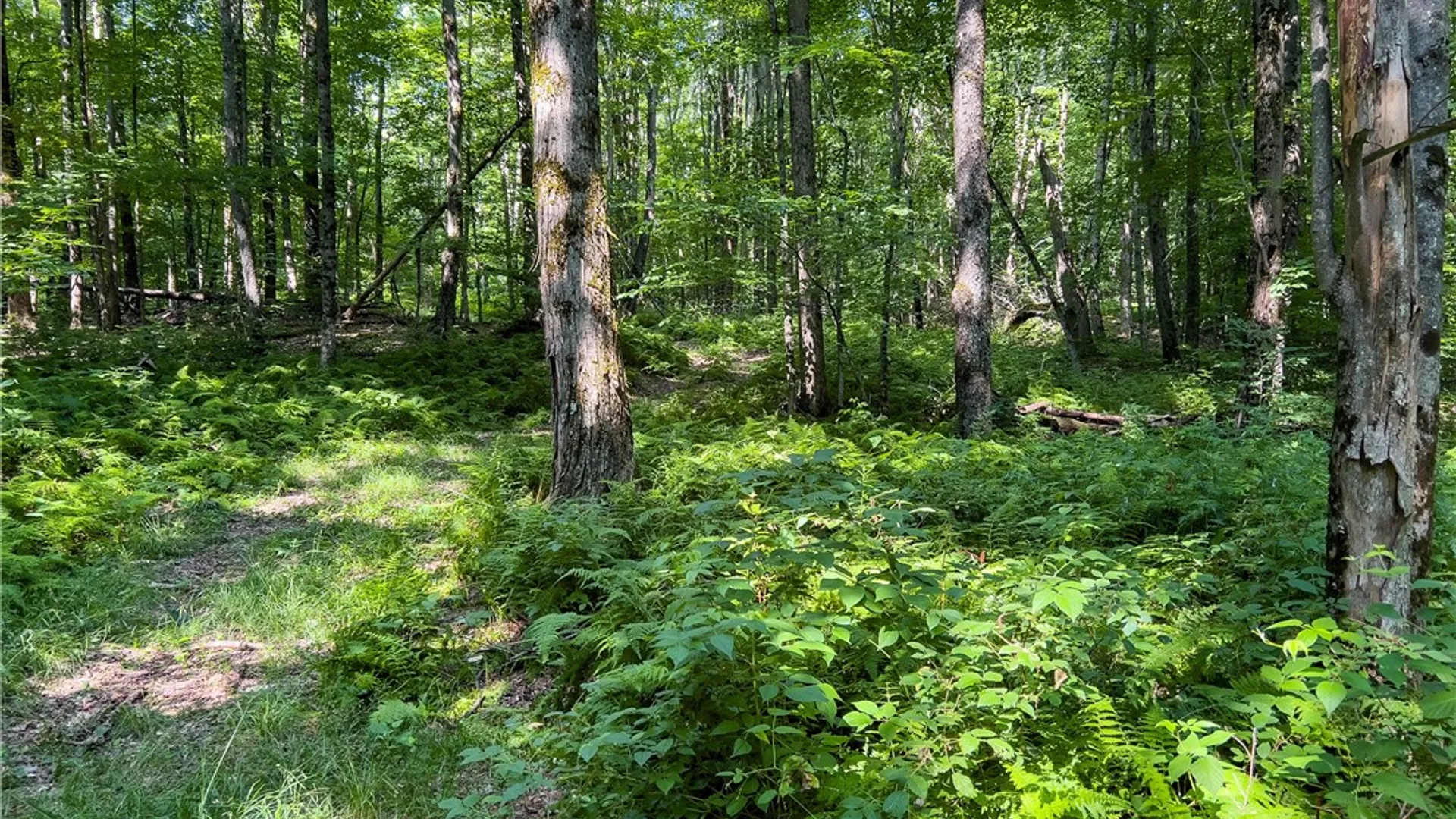 Property at Lot #11 Franklin Depot Road, Sidney, NY 13838 42