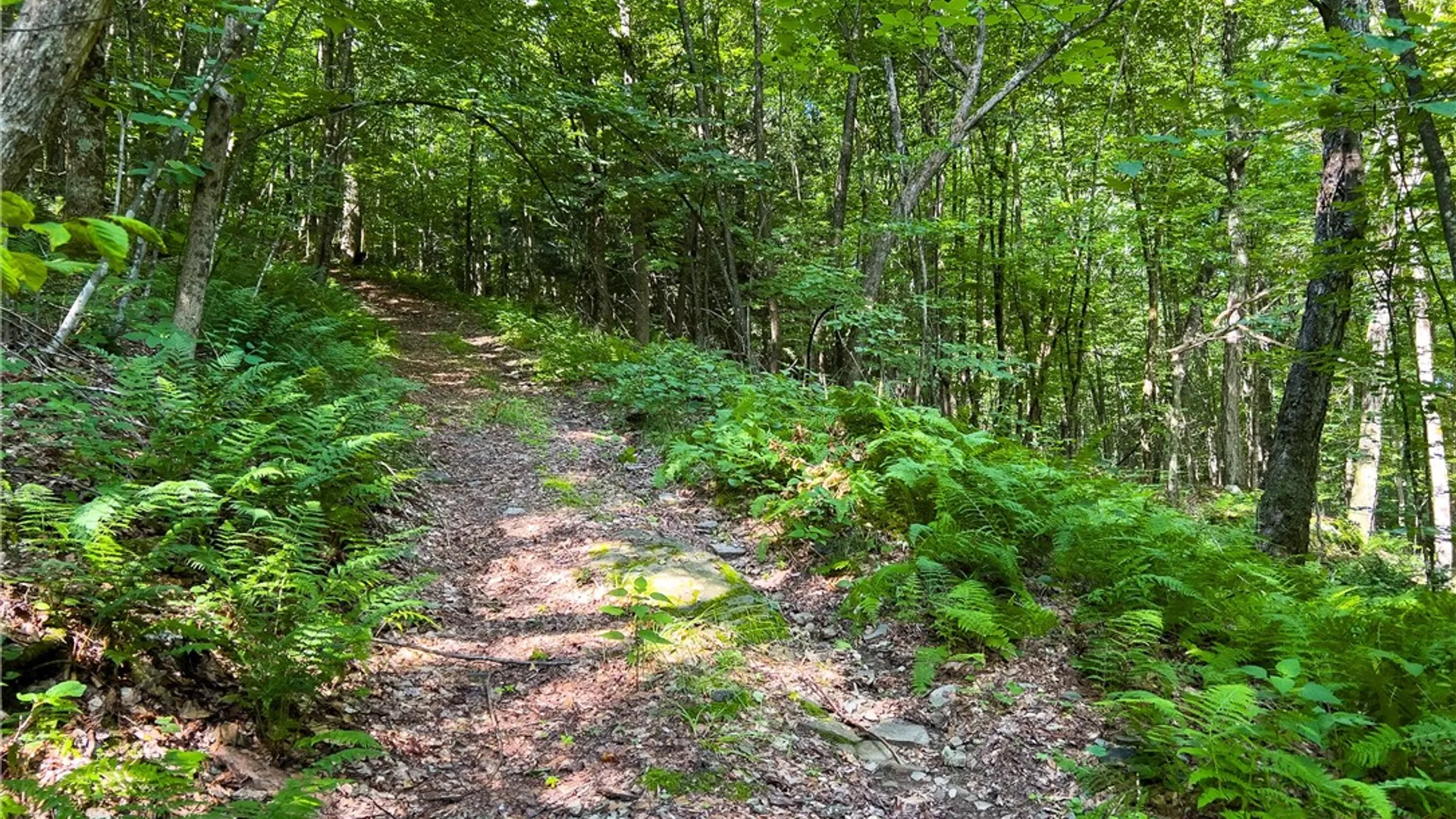Property at Lot #11 Franklin Depot Road, Sidney, NY 13838 43