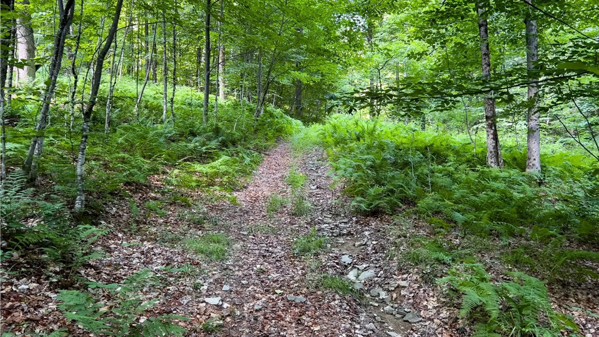 Property at Lot #11 Franklin Depot Road, Sidney, NY 13838 44