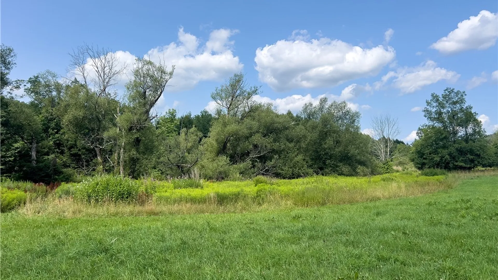 Property at Lot #11 Franklin Depot Road, Sidney, NY 13838 10