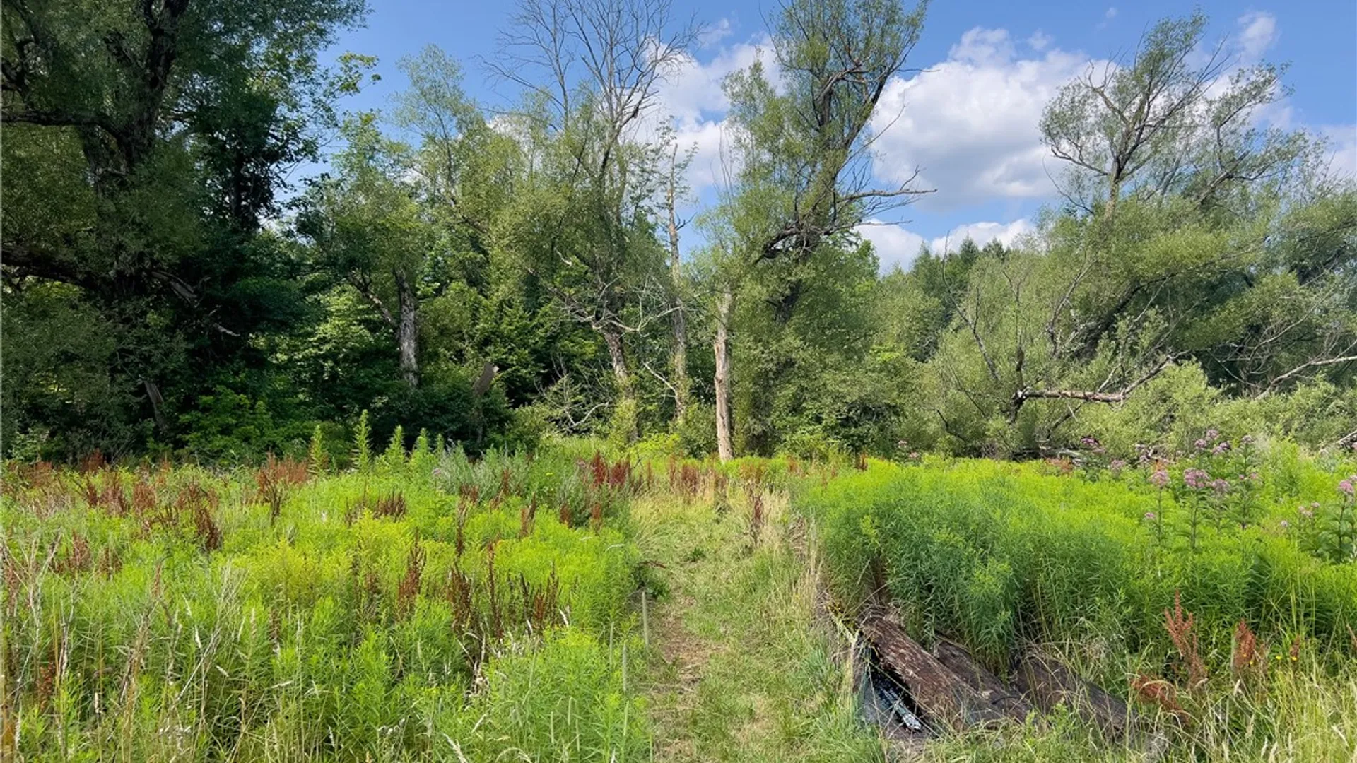 Property at Lot #11 Franklin Depot Road, Sidney, NY 13838 11