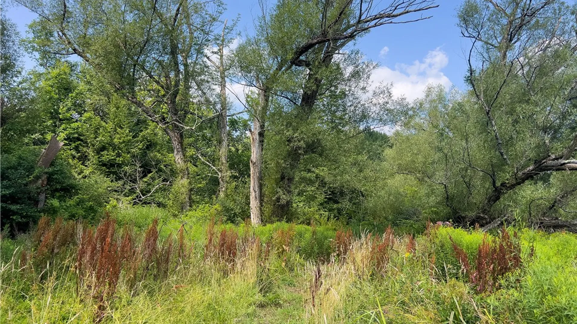 Property at Lot #11 Franklin Depot Road, Sidney, NY 13838 12