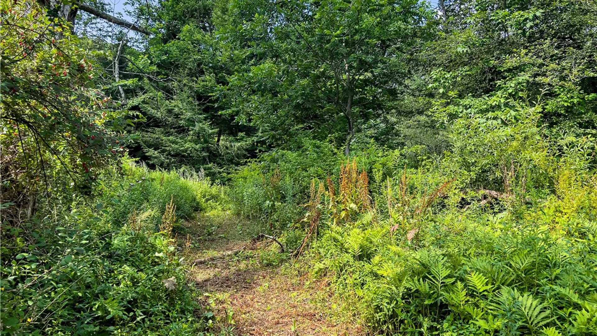 Property at Lot #11 Franklin Depot Road, Sidney, NY 13838 13