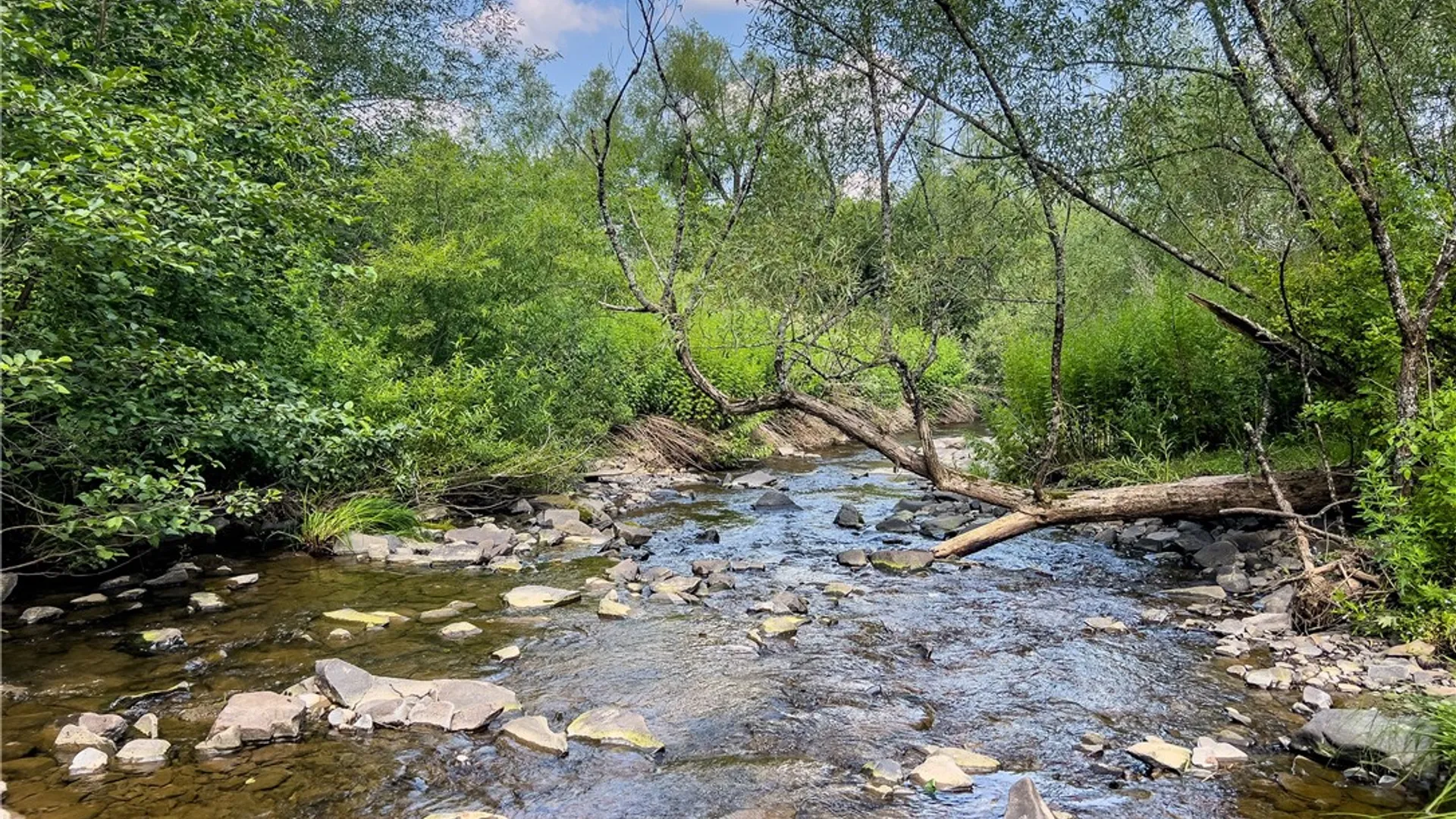 Property at Lot #11 Franklin Depot Road, Sidney, NY 13838 14
