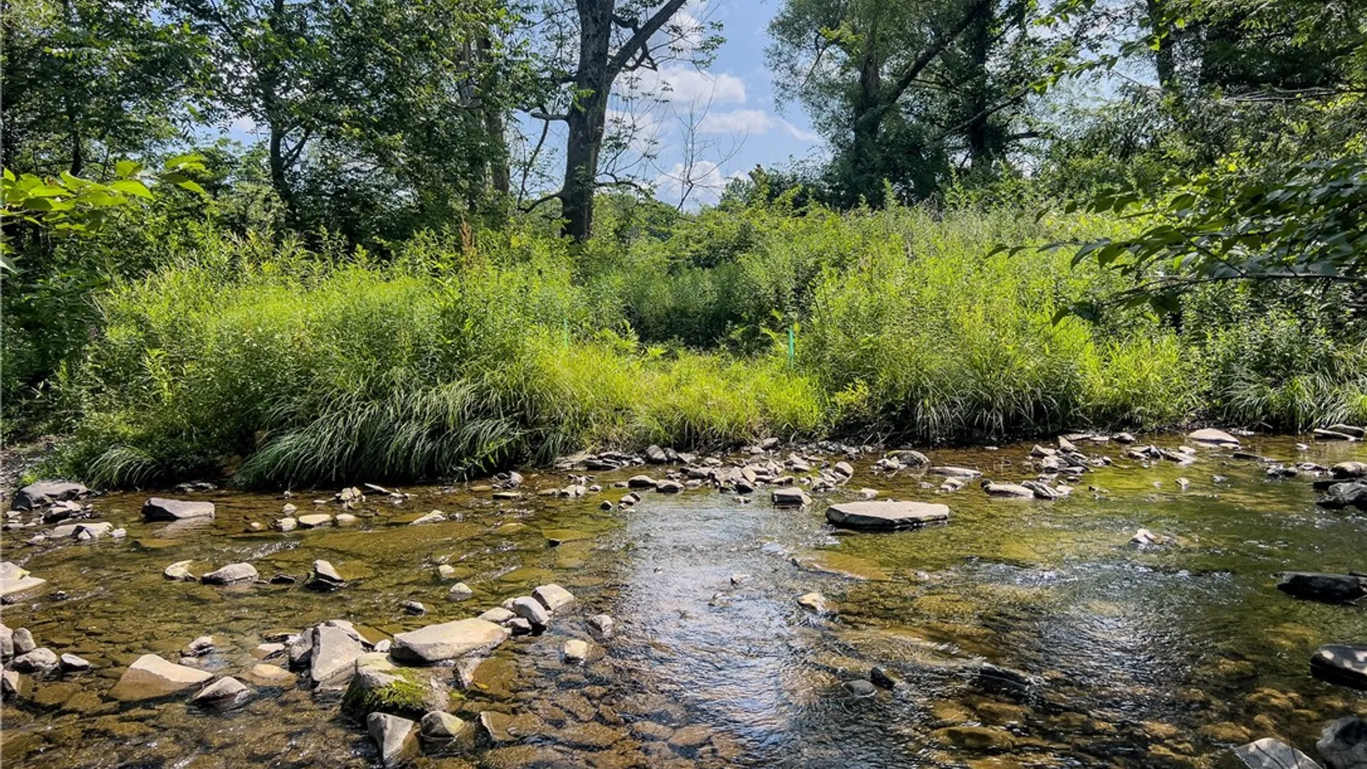 Property at Lot #11 Franklin Depot Road, Sidney, NY 13838 16