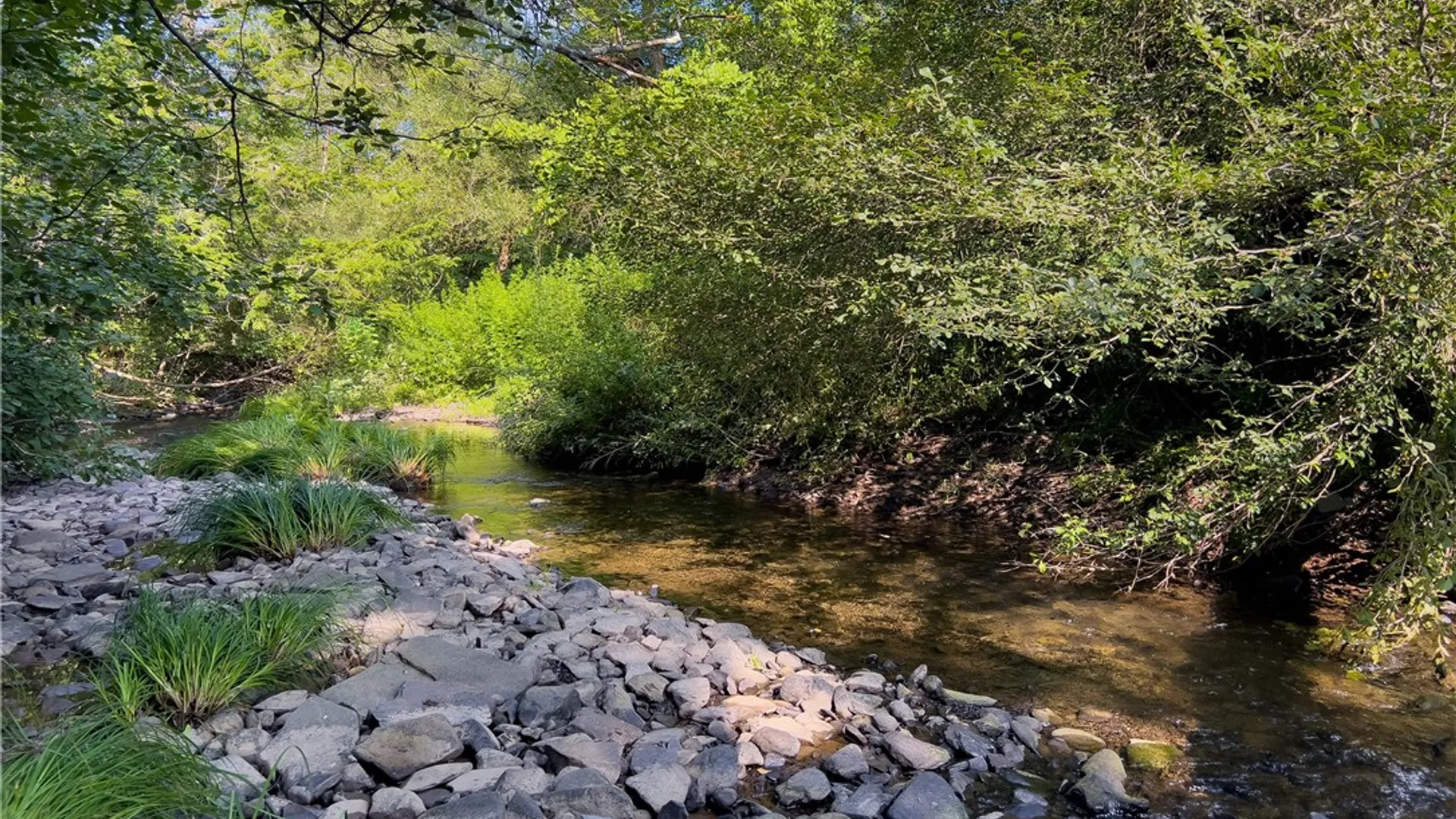 Property at Lot #11 Franklin Depot Road, Sidney, NY 13838 18