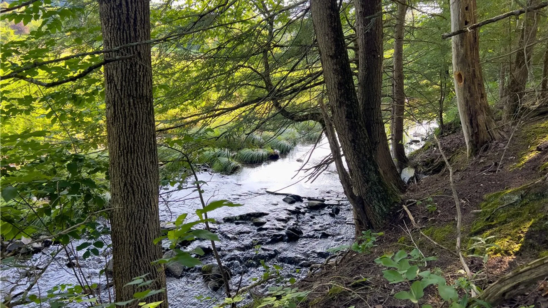 Property at Lot #11 Franklin Depot Road, Sidney, NY 13838 19