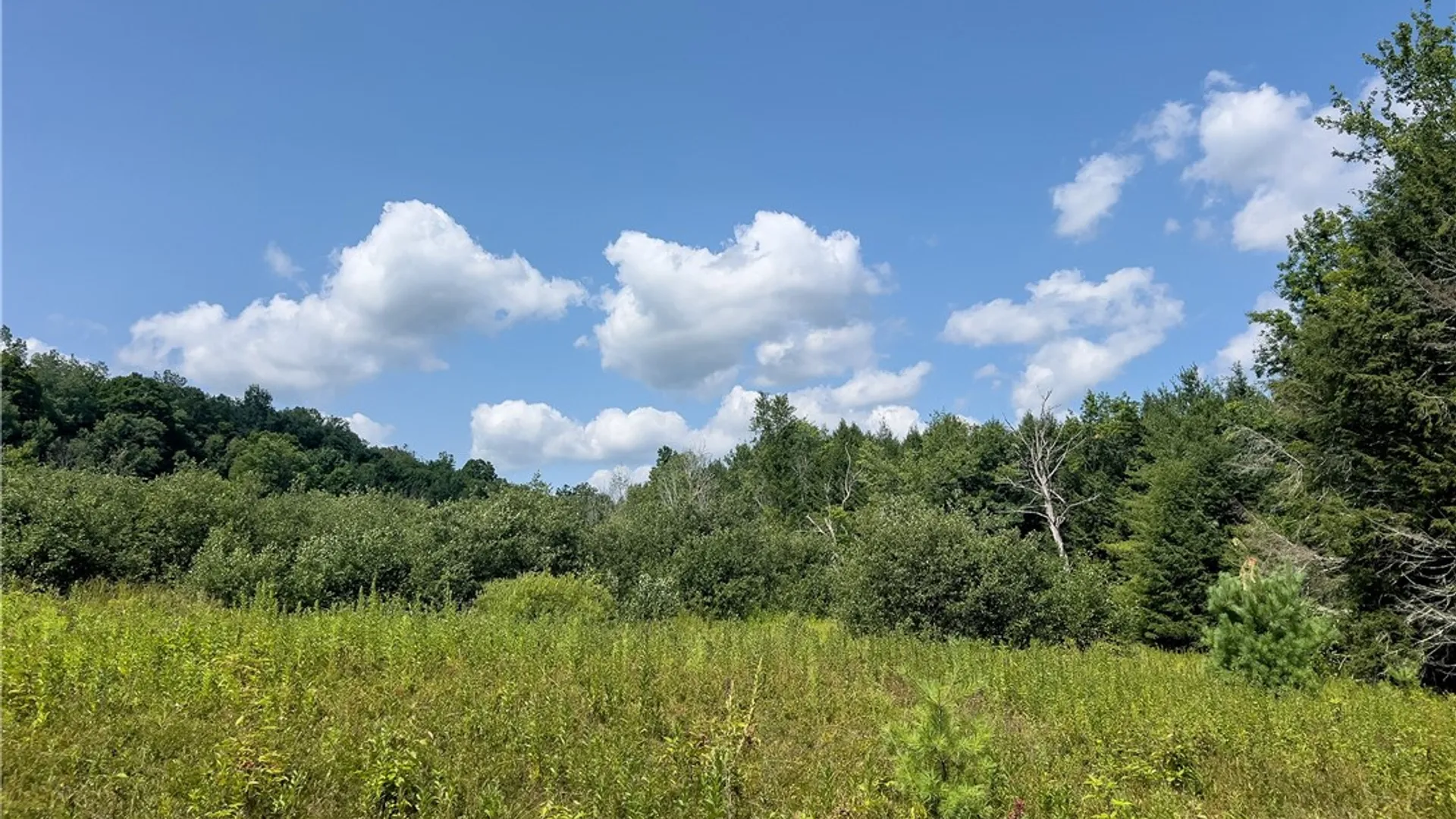 Property at Lot #11 Franklin Depot Road, Sidney, NY 13838 21