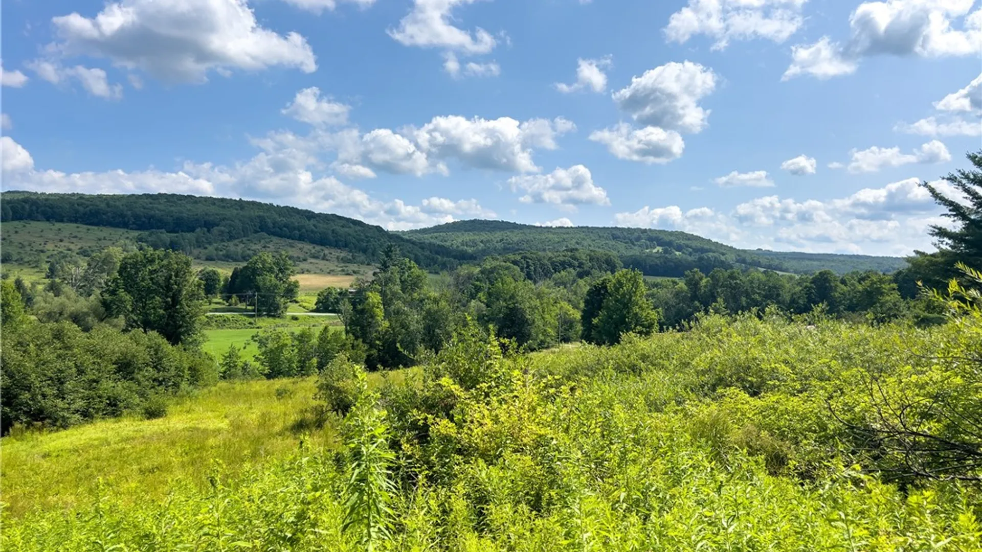 Property at Lot #11 Franklin Depot Road, Sidney, NY 13838 23