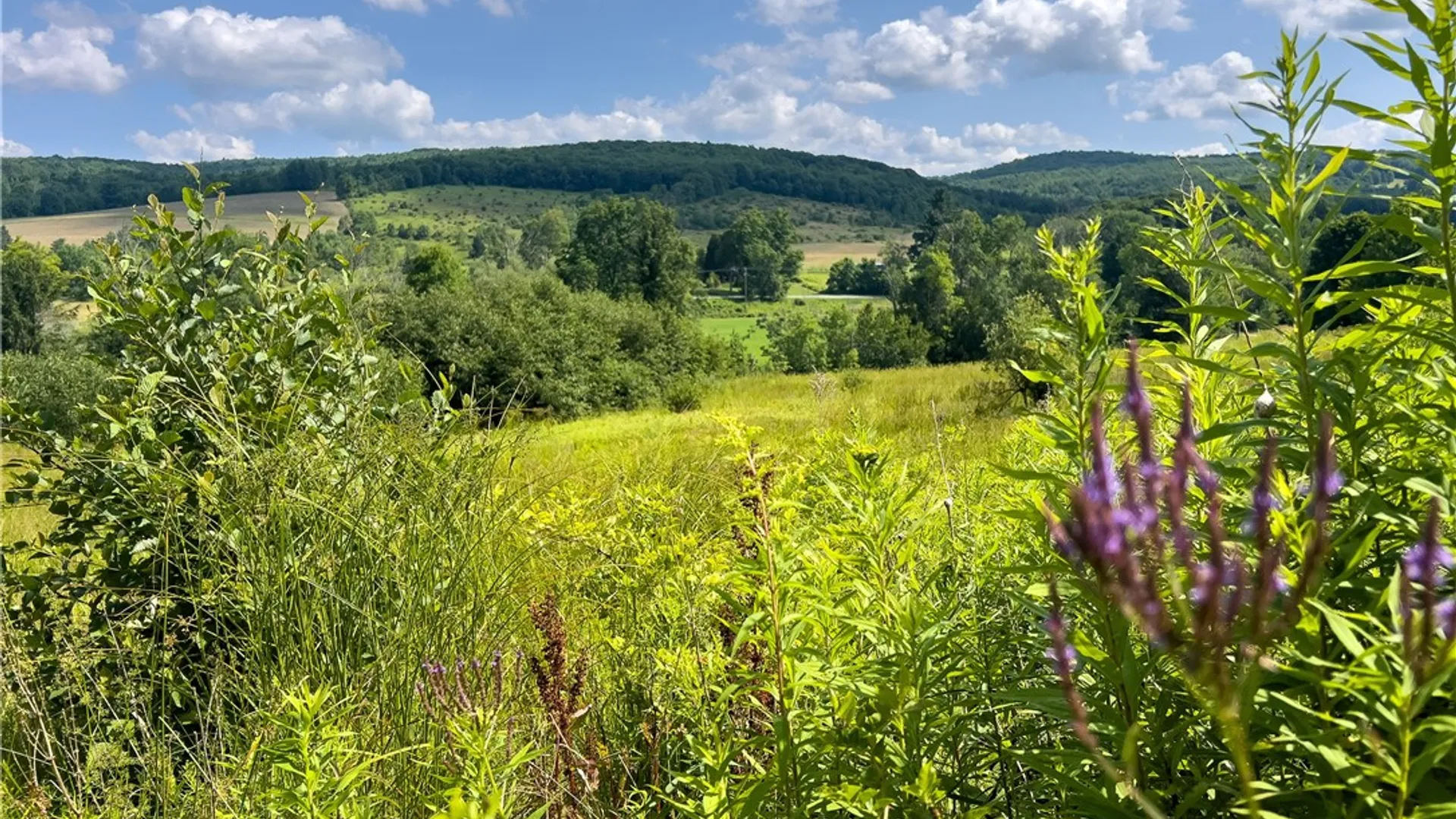 Property at Lot #11 Franklin Depot Road, Sidney, NY 13838 24
