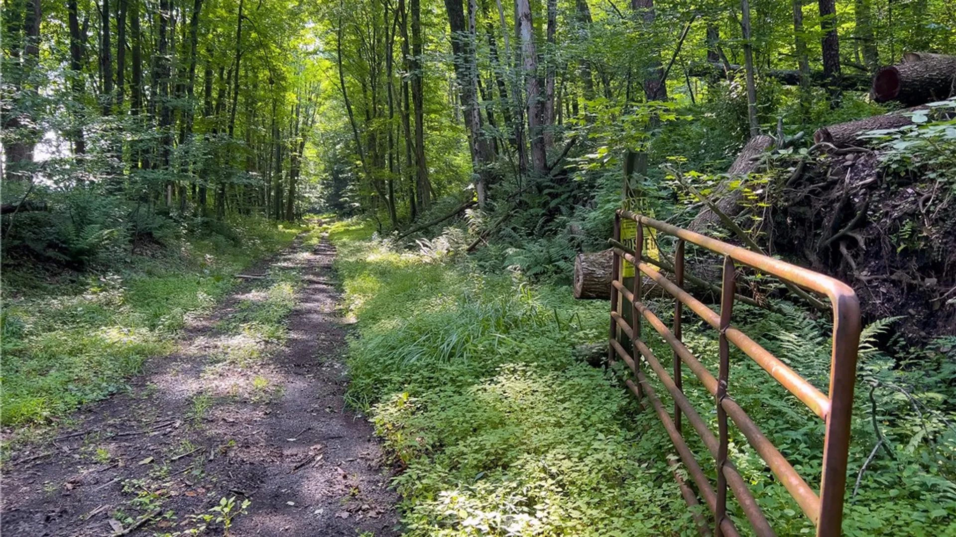 Property at Lot #11 Franklin Depot Road, Sidney, NY 13838 25