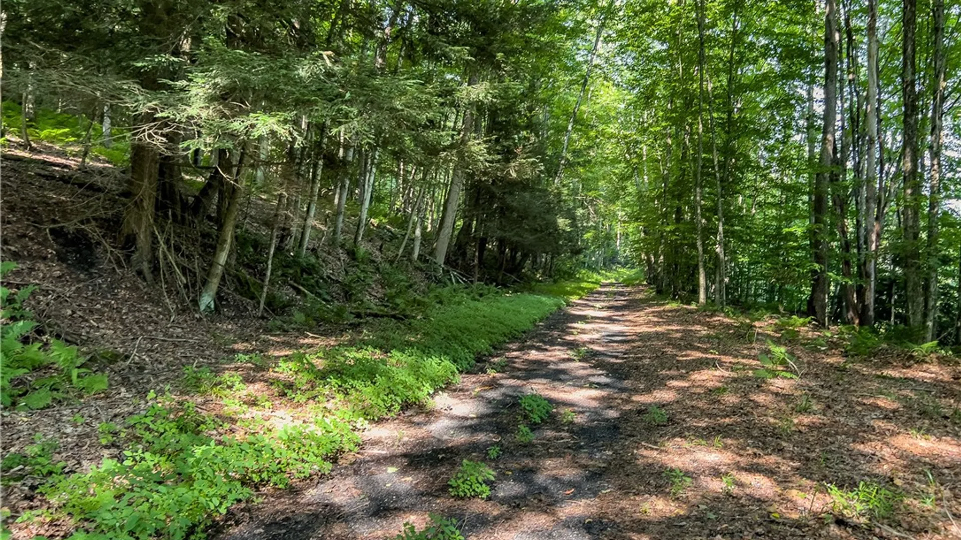 Property at Lot #11 Franklin Depot Road, Sidney, NY 13838 26