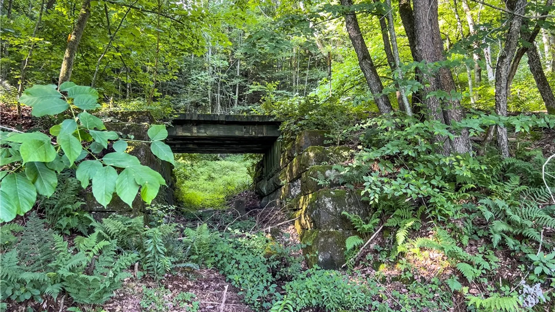 Property at Lot #11 Franklin Depot Road, Sidney, NY 13838 27