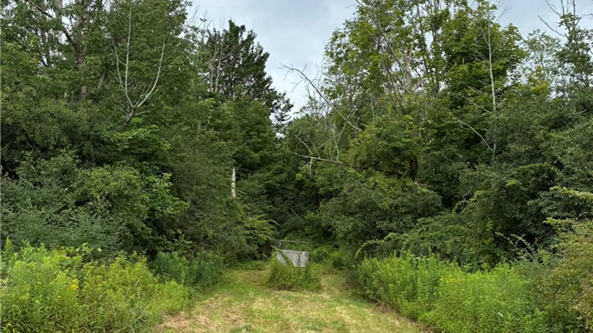 Property at 473 Backer Road, Catlin, NY 14902 18