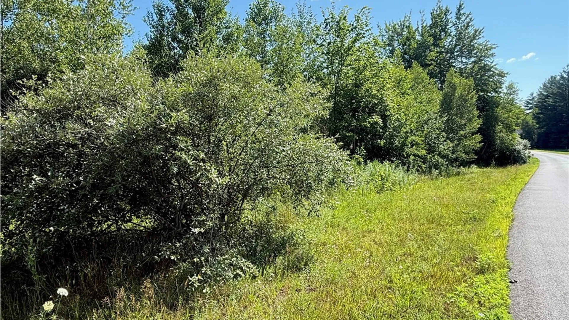 Property at 5 & 11 Belva Blvd, Hastings, NY 13076 4