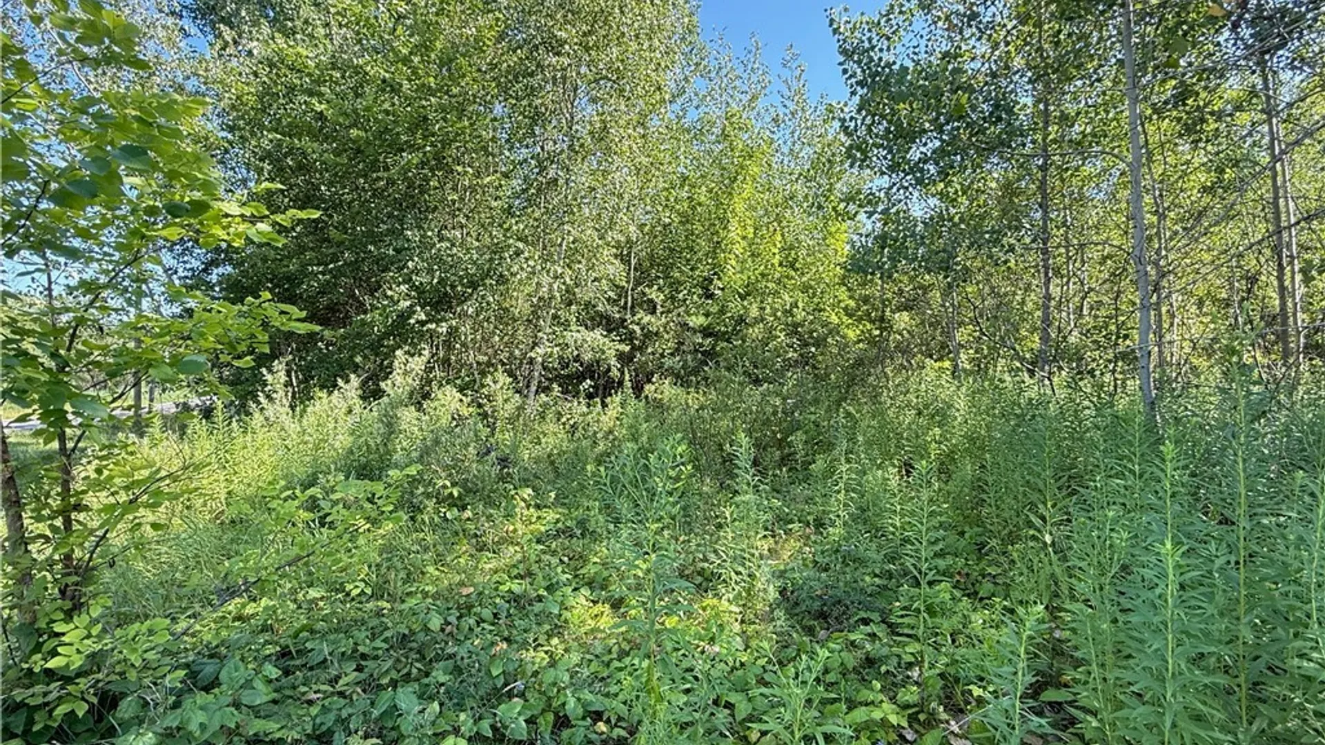 Property at 5 & 11 Belva Blvd, Hastings, NY 13076 6