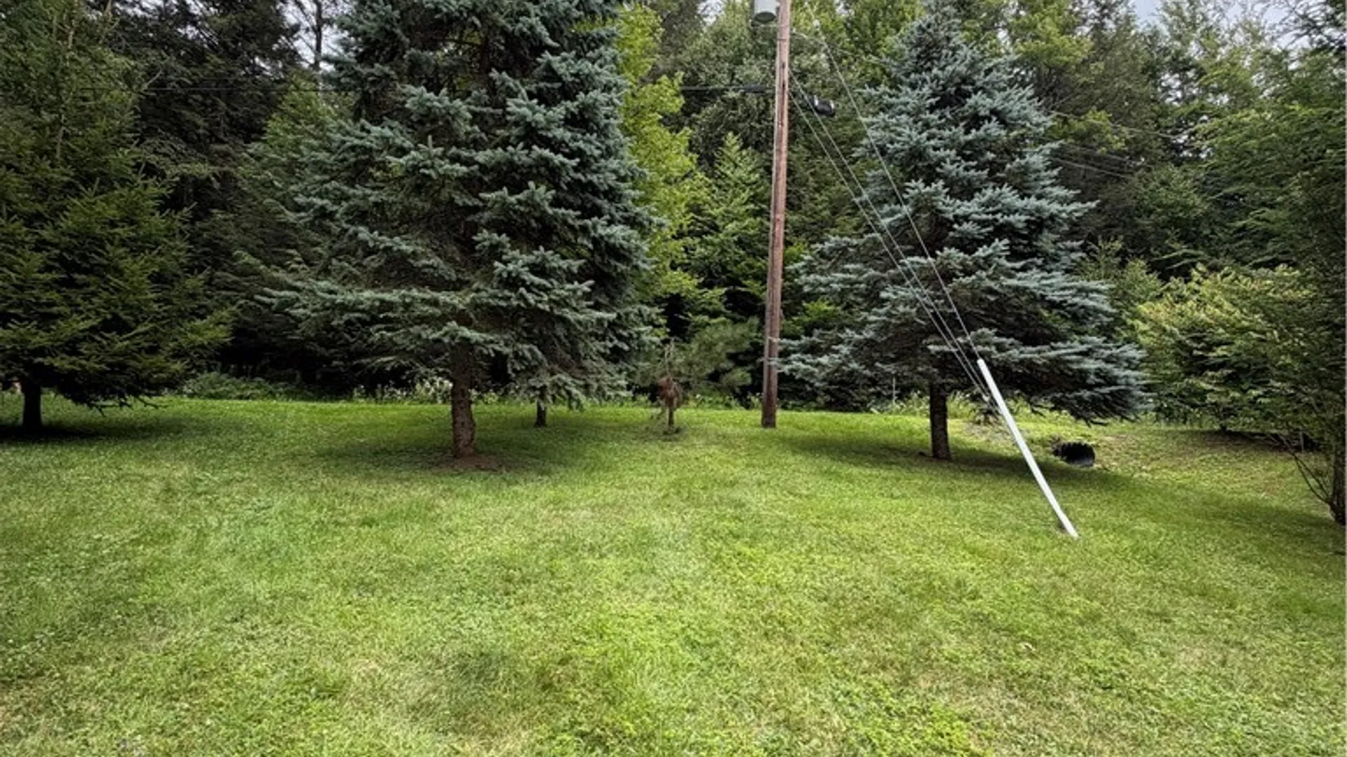 Property at 103 Blueberry Drive, Sanford, NY 13754 4
