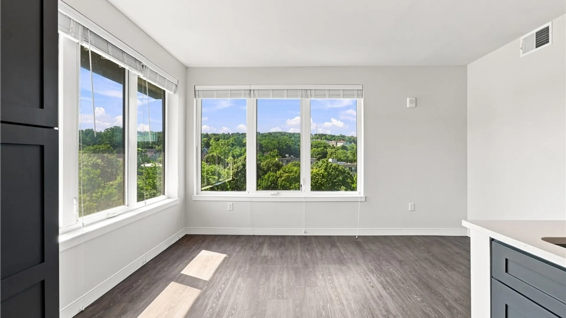 Property at 210 E Green Street, Ithaca City, NY 14850 8