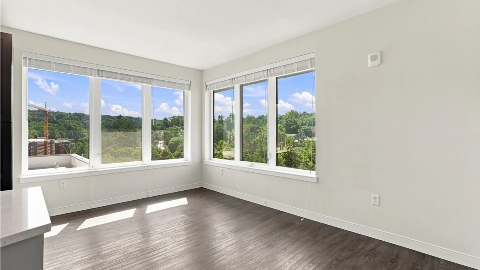 Property at 210 E Green Street, Ithaca City, NY 14850 9