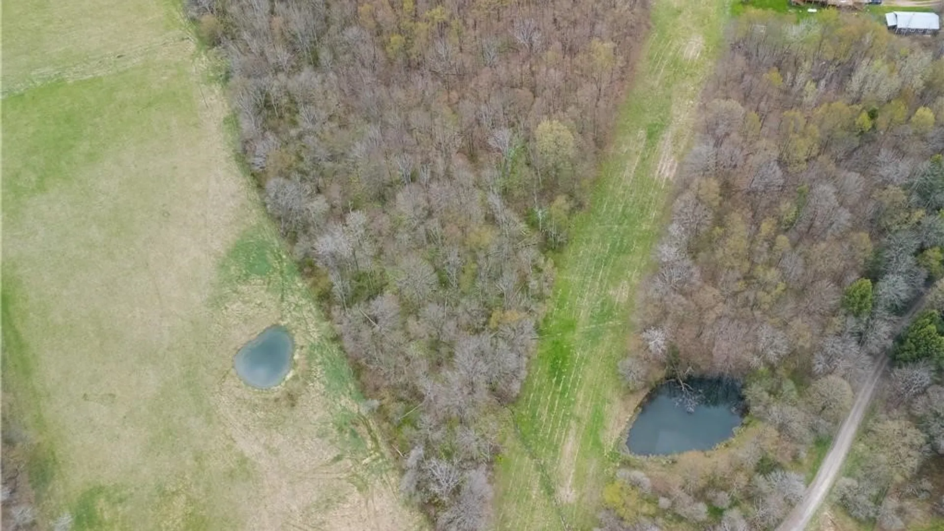 Property at 169 Musto Hollow Road, Bingham, PA 16948 49
