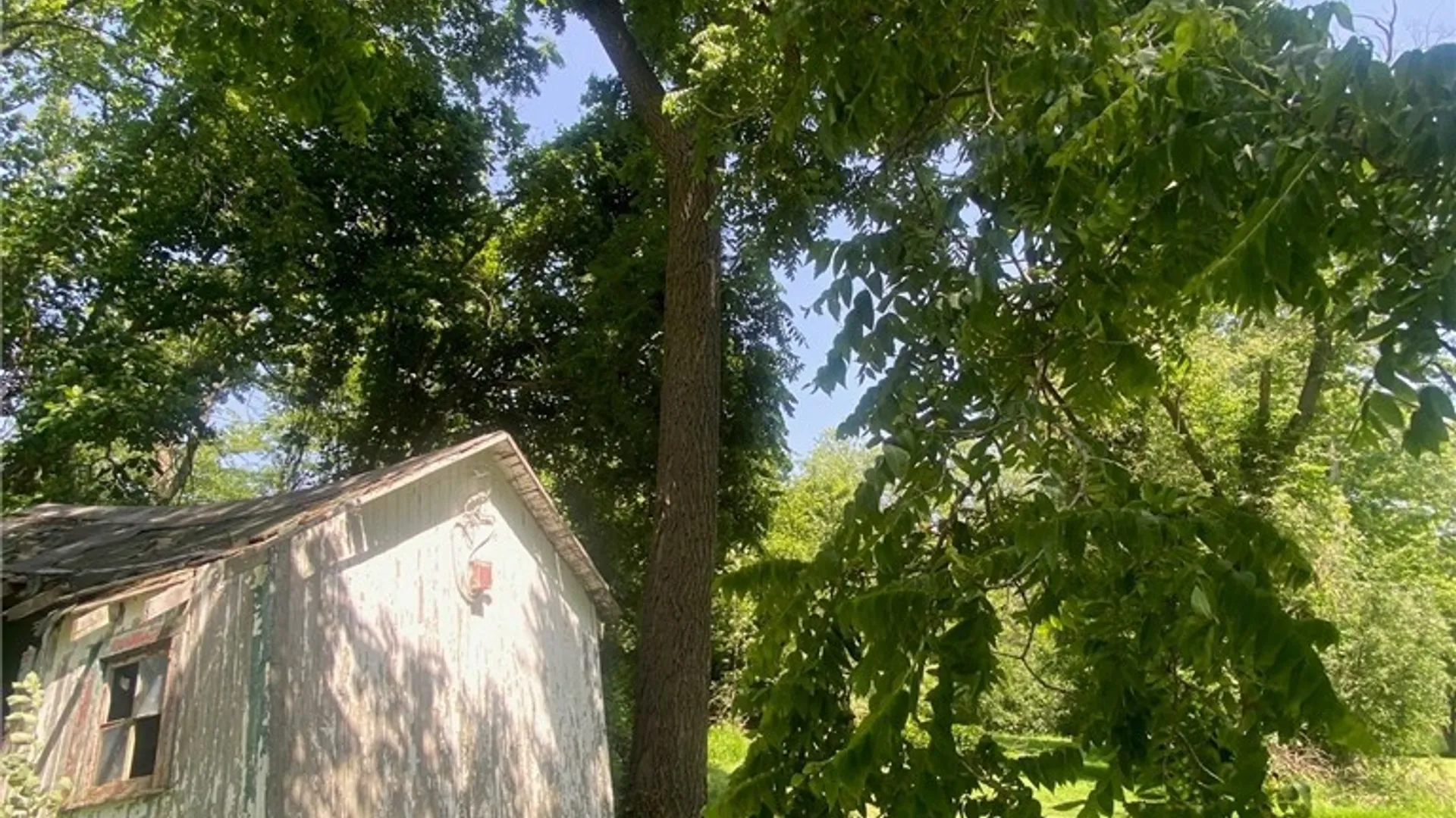 Property at 6875 Nash Road, Wheatfield, NY 14120 17