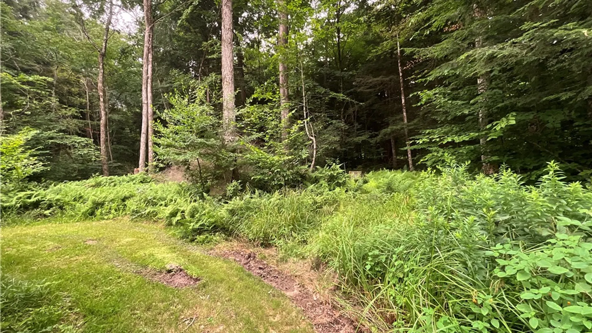 Property at 164 Covell Lane, Mc Donough, NY 13801 18