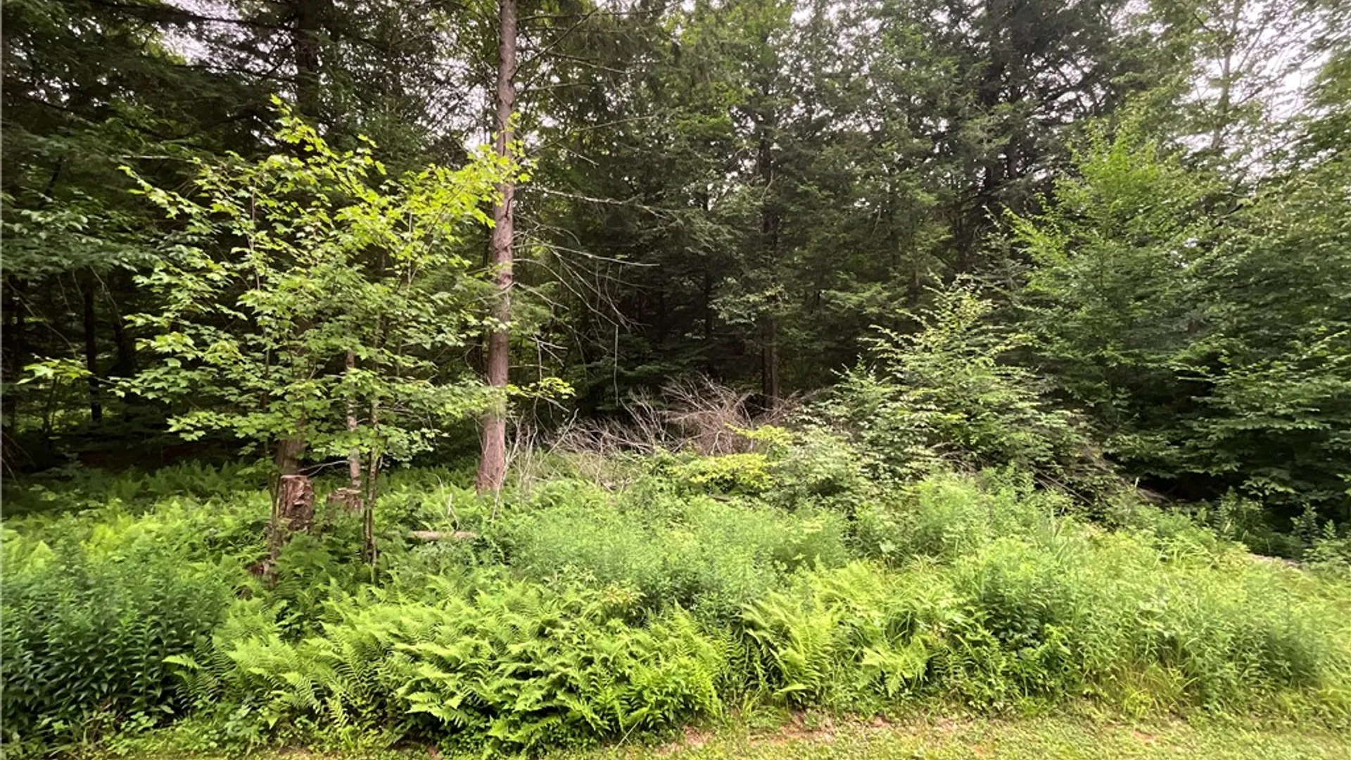 Property at 164 Covell Lane, Mc Donough, NY 13801 19