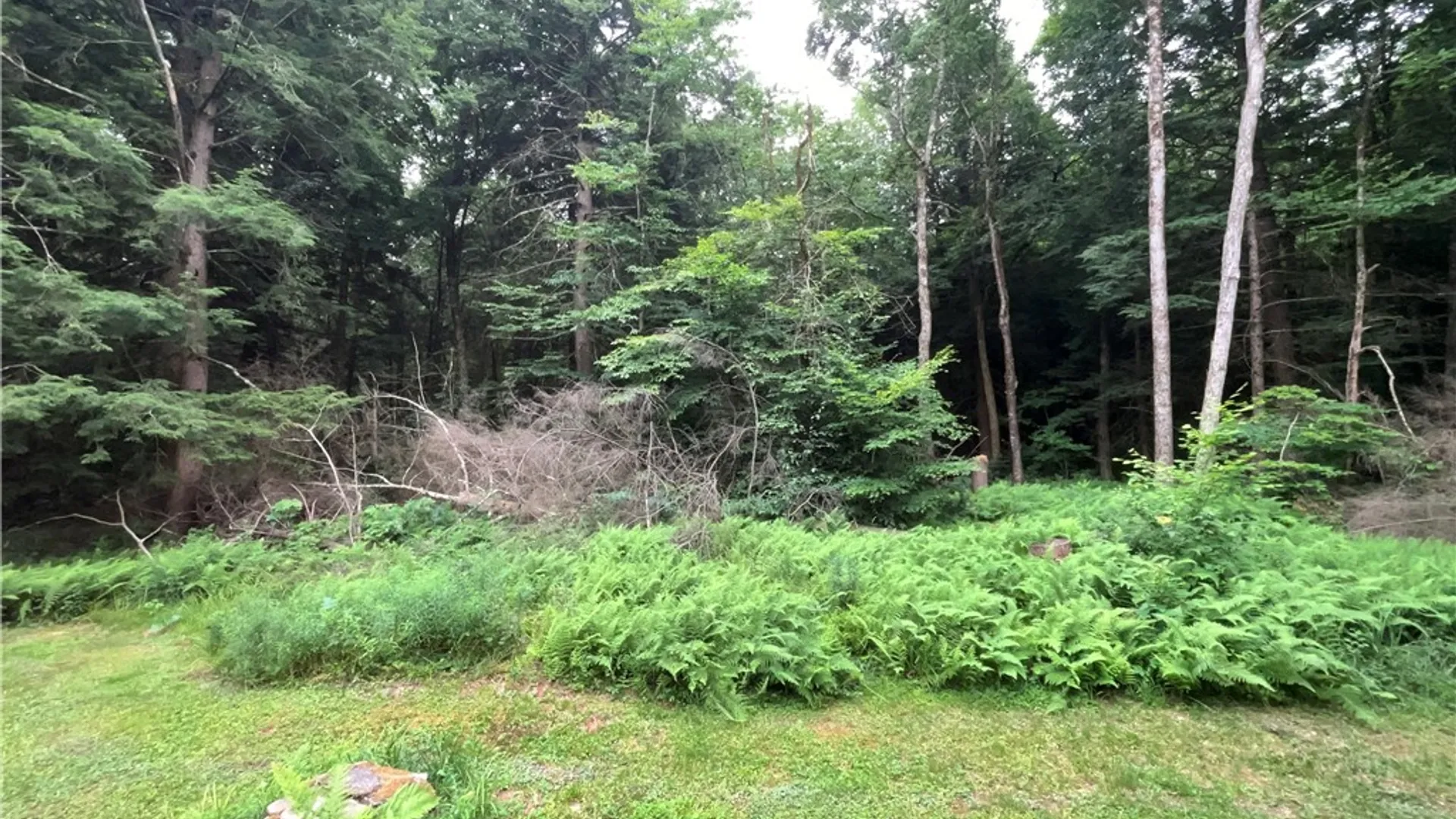 Property at 164 Covell Lane, Mc Donough, NY 13801 20
