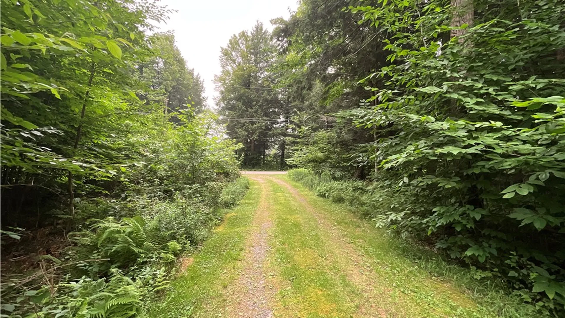 Property at 164 Covell Lane, Mc Donough, NY 13801 17