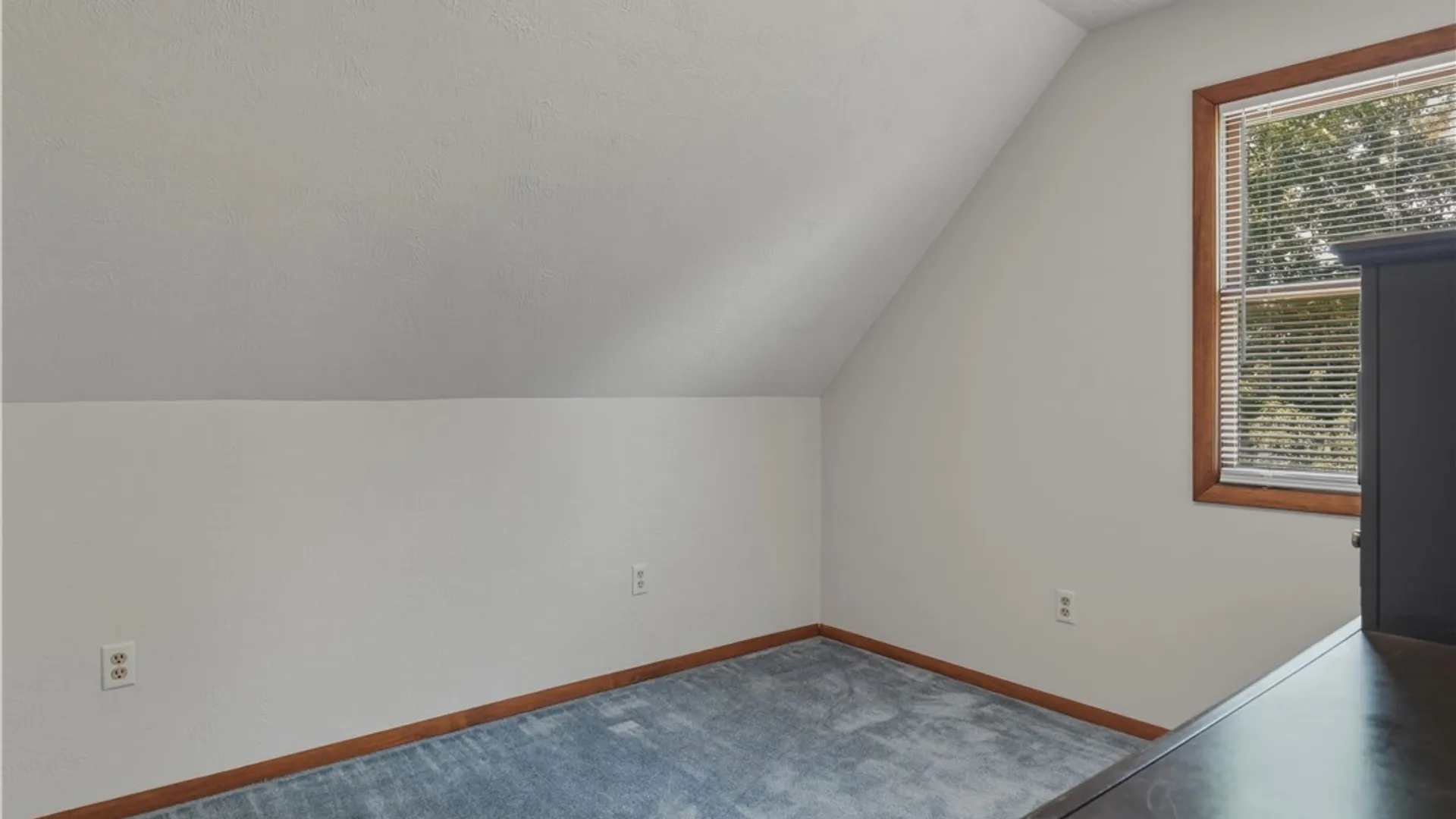 Property at 1071 Magee Street, Elmira City, NY 14901 27