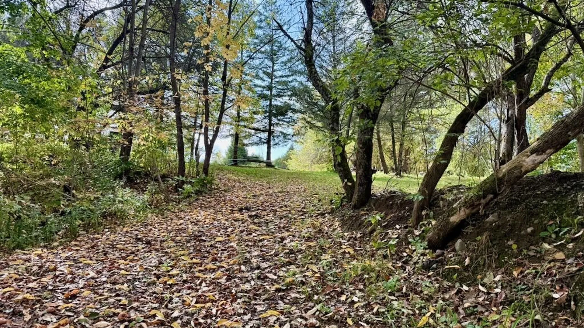 Property at 2645 County Route 15, Sandy Creek, NY 13145 48