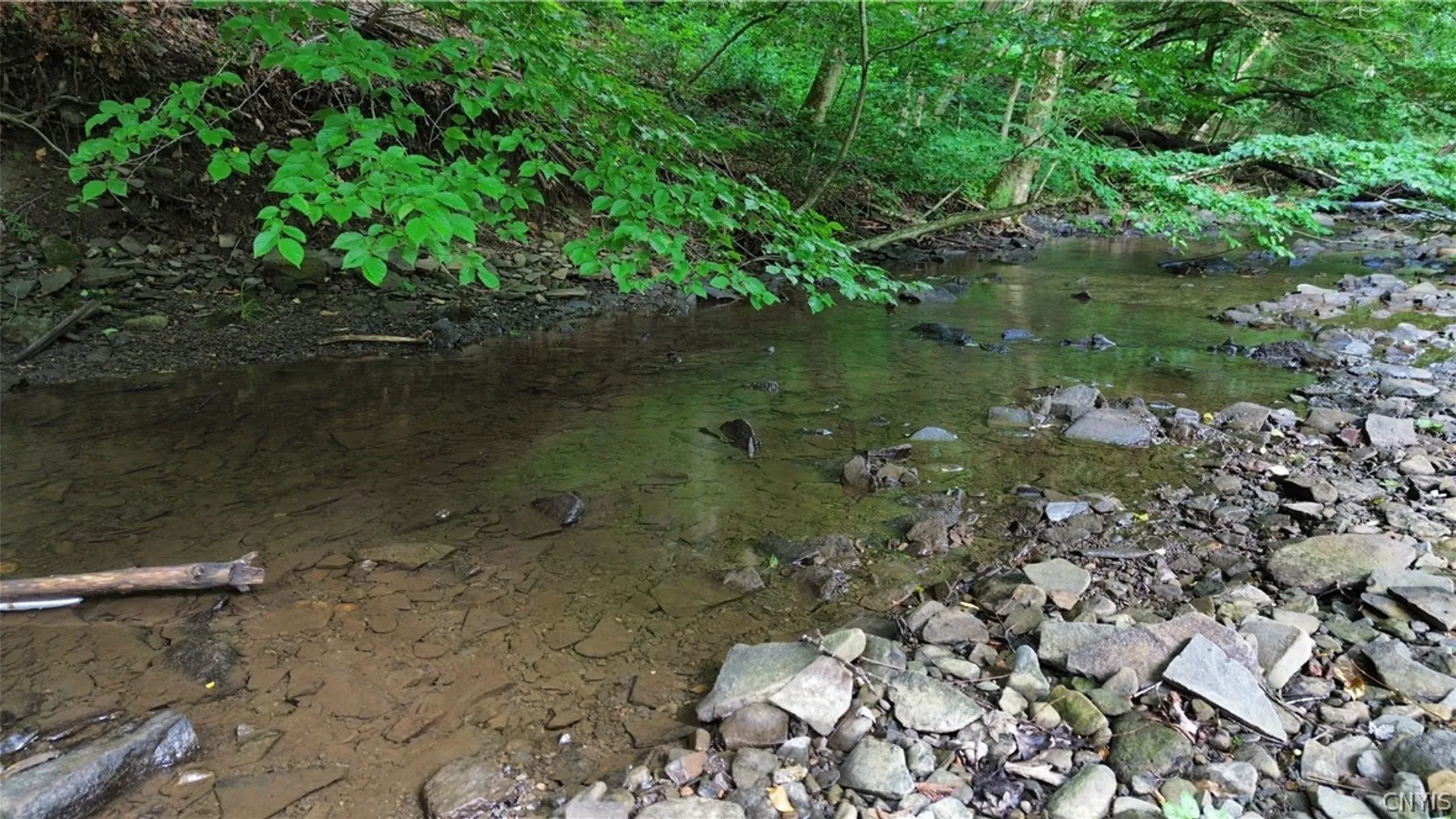 Property at 545 State Route 41a, Homer, NY 13077 34