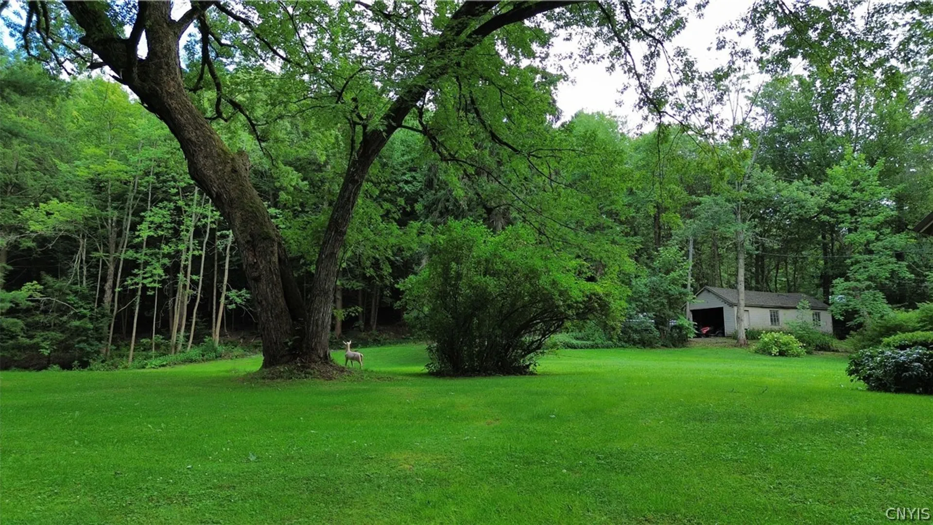 Property at 545 State Route 41a, Homer, NY 13077 35