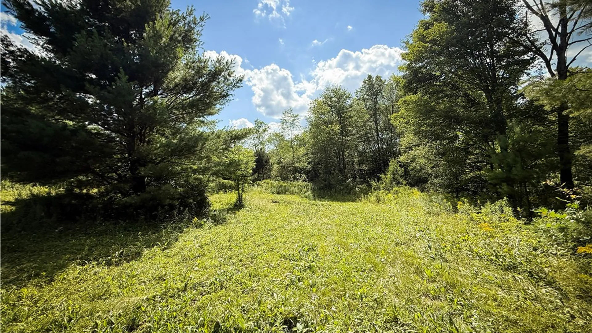 Property at N Greenbush Road, Erin, NY 14838 19