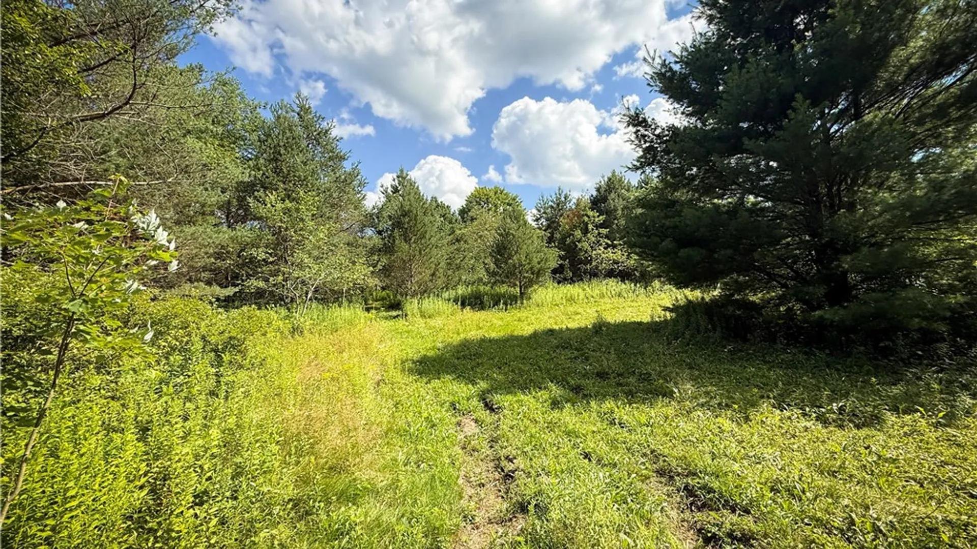 Property at N Greenbush Road, Erin, NY 14838 20