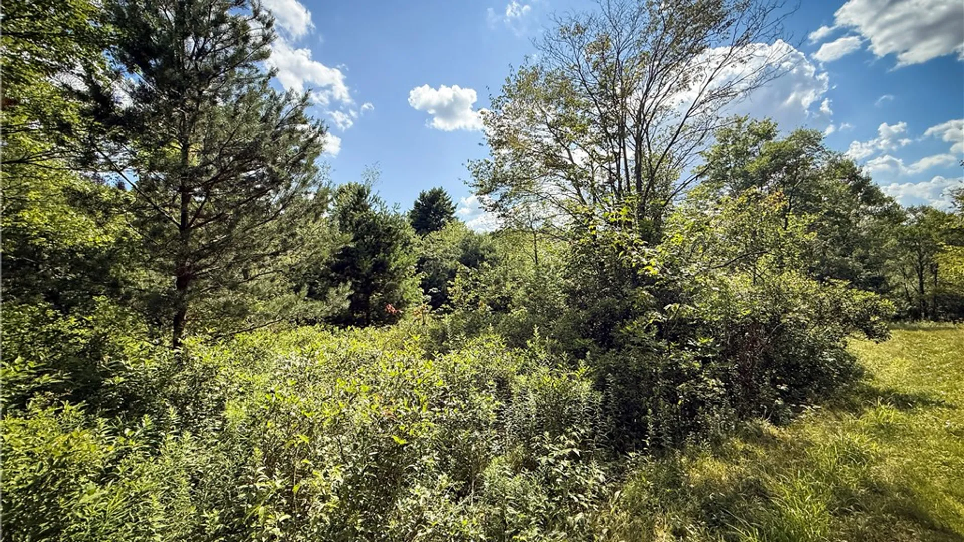 Property at N Greenbush Road, Erin, NY 14838 23
