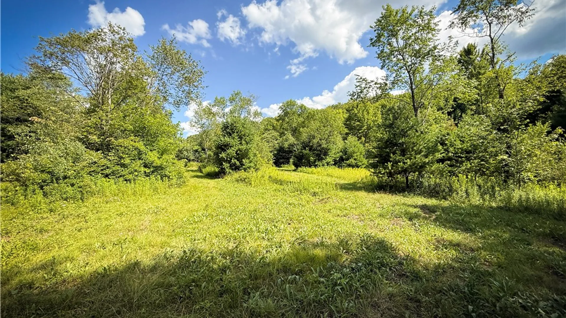 Property at N Greenbush Road, Erin, NY 14838 24